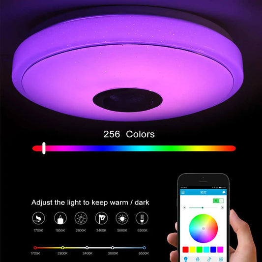 Modern RGB LED Ceiling Light