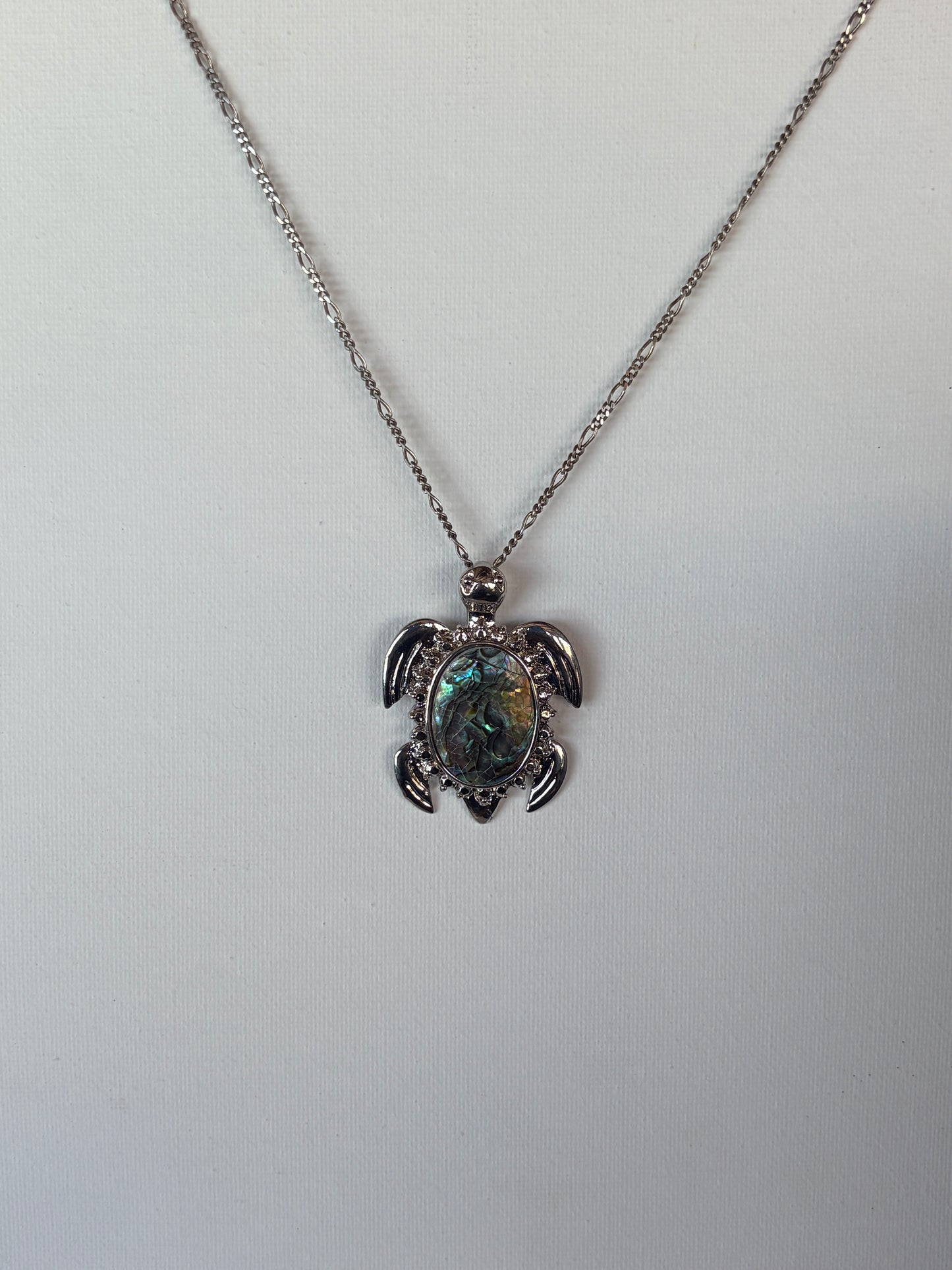 Abalone Turtle