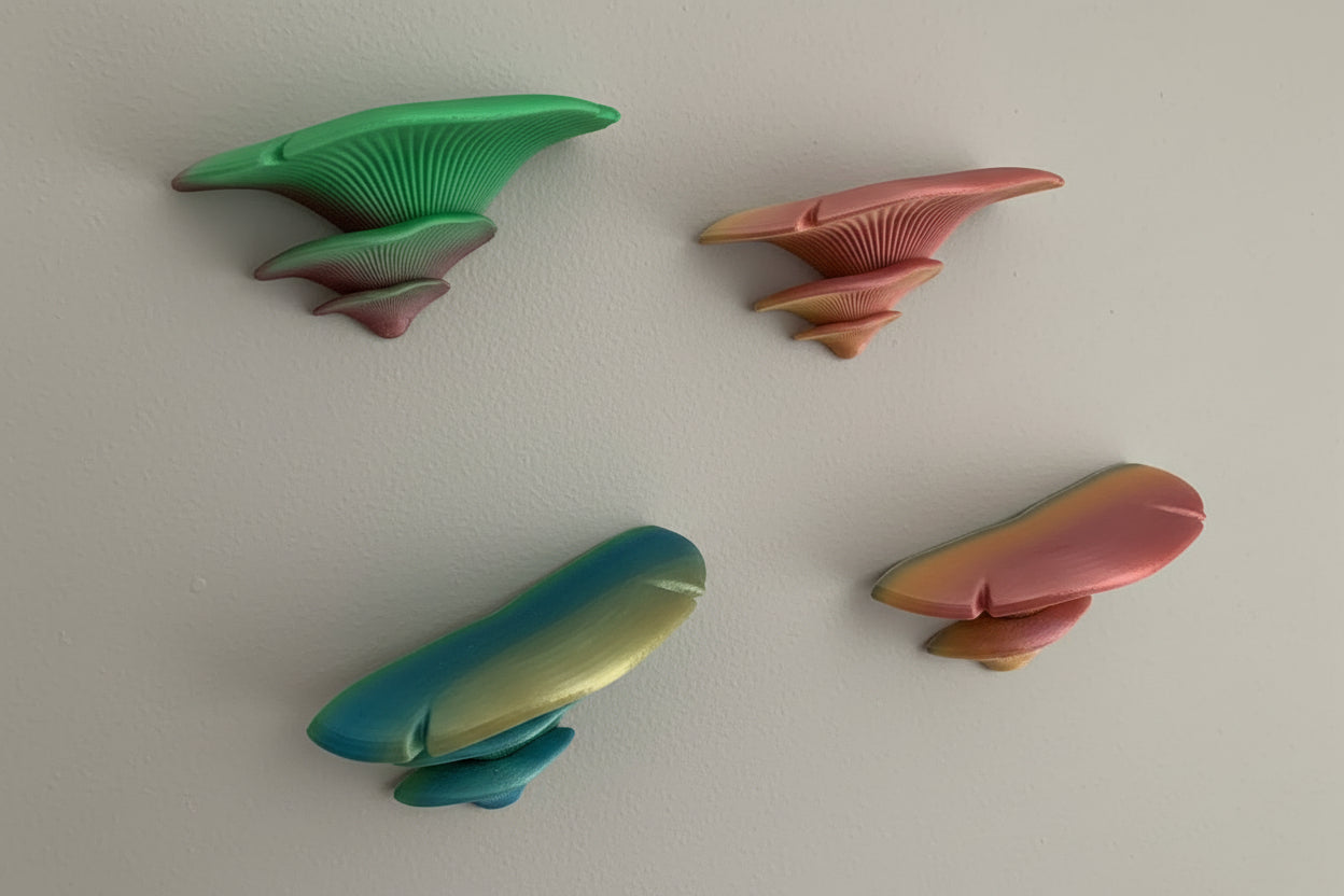 colorful shelves on a wall