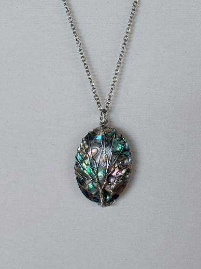 Abalone Tree