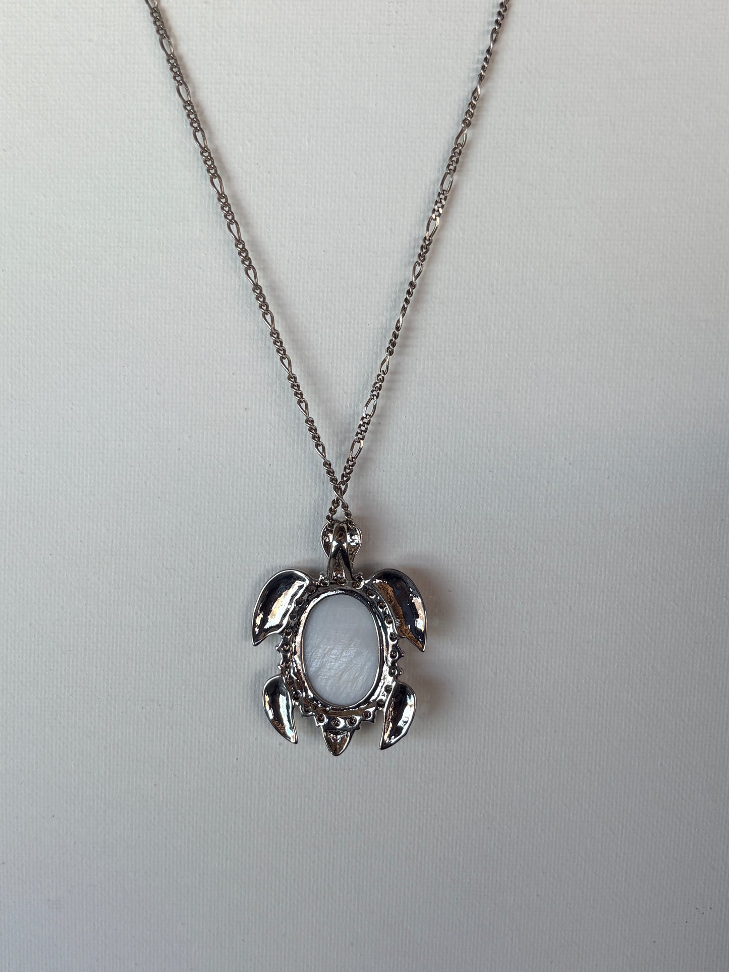 Abalone Turtle