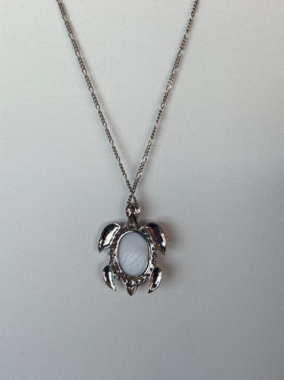 Abalone Turtle