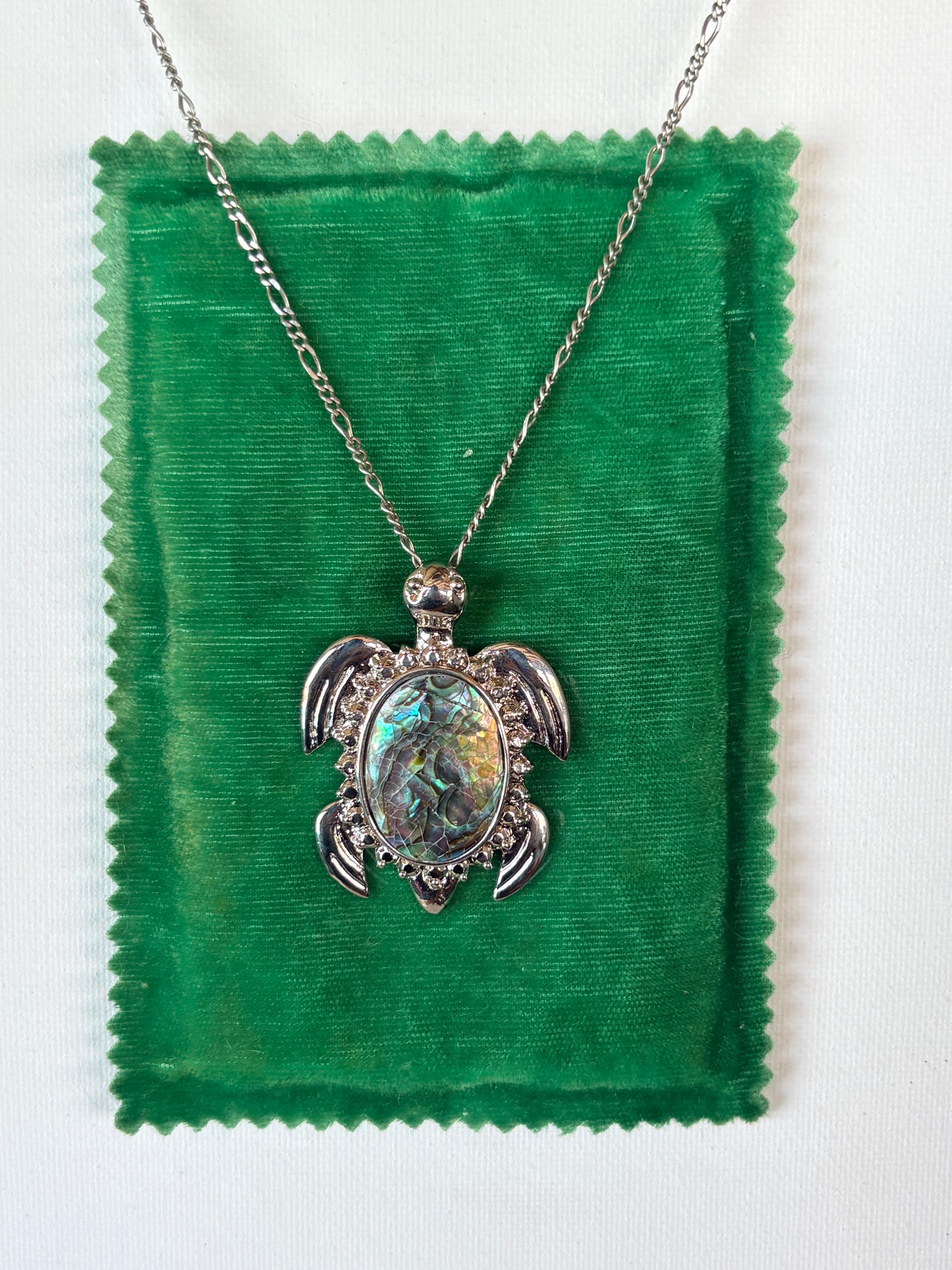 Abalone Turtle