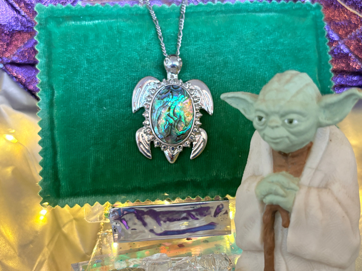 Abalone Turtle