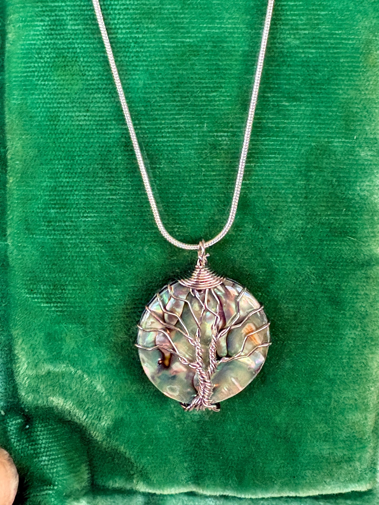 Abalone Tree