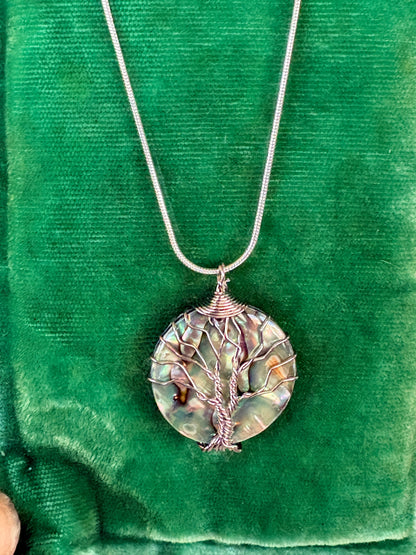 Abalone Tree