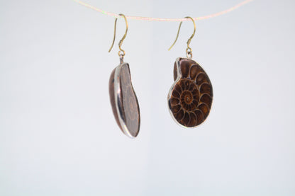Ammonite Fossil Earrings