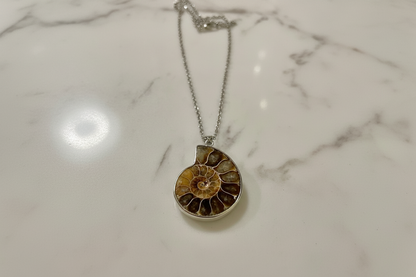 Ammonite Spiral Necklace
