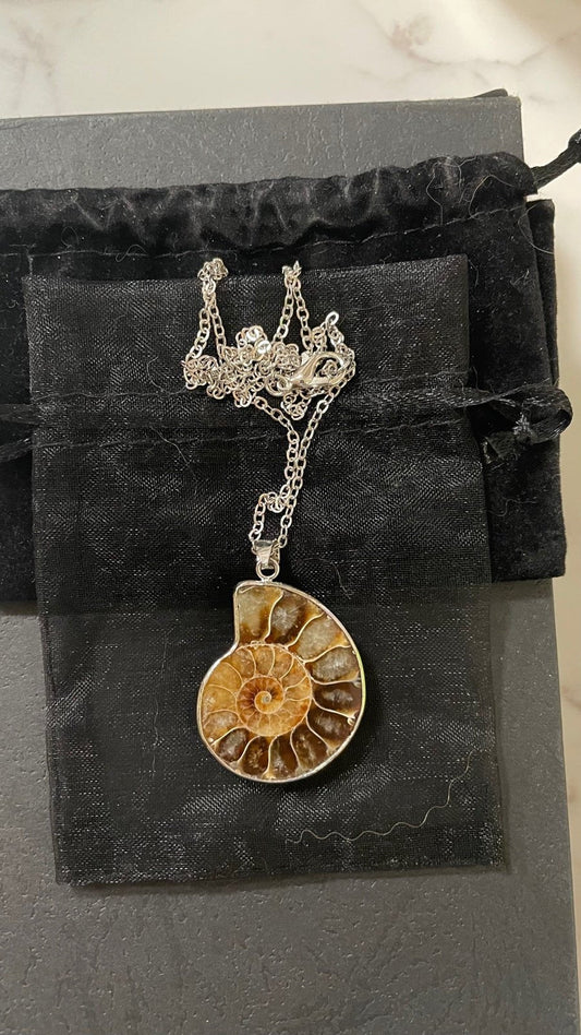 Ammonite Spiral Necklace
